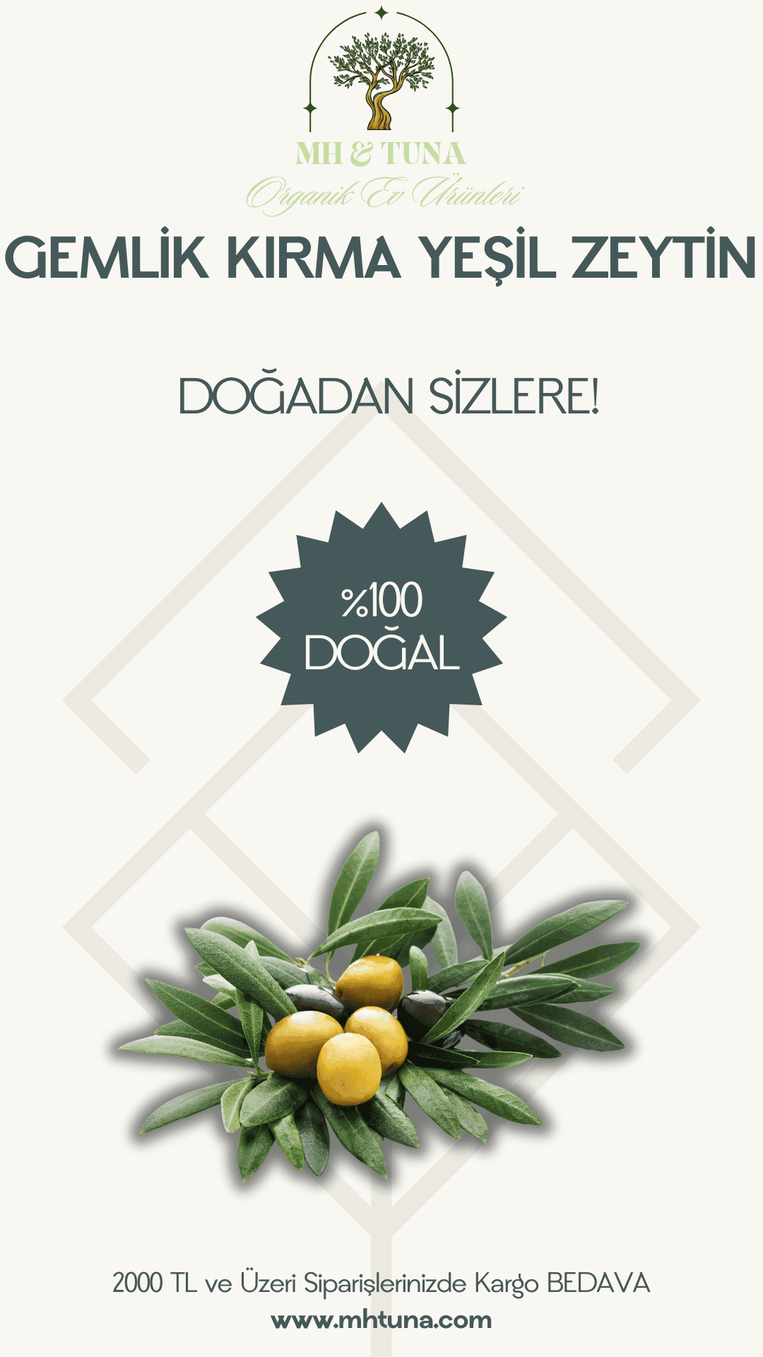 GEMLİK KIRMA YEŞİL  ZEYTİN