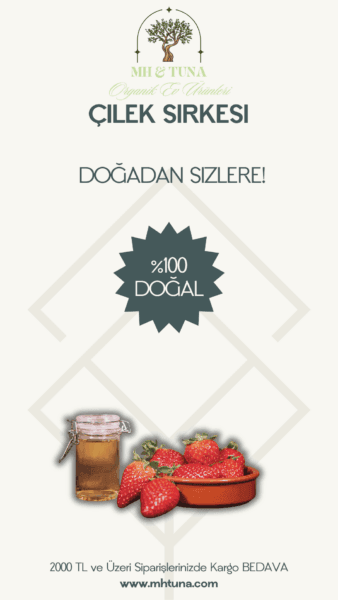 ÇİLEK SİRKESİ