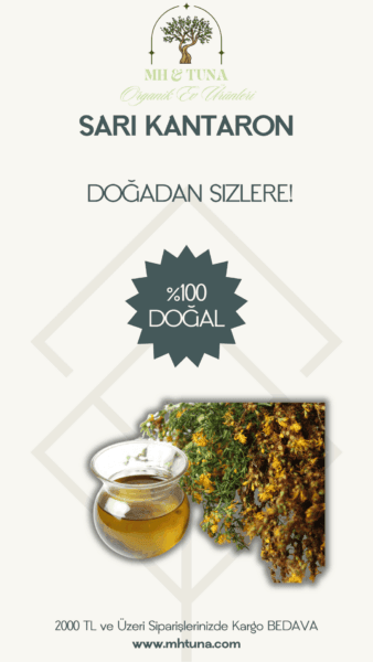 SARI KANTARON
