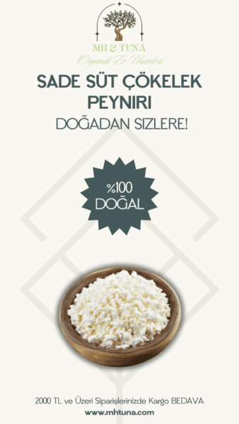SADE SÜT ÇÖKELEK SAKIZ PEYNİRİ