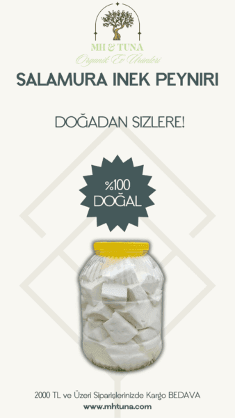 SALAMURA İNEK PEYNİRİ