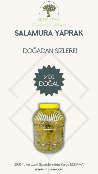 SALAMURA YAPRAK