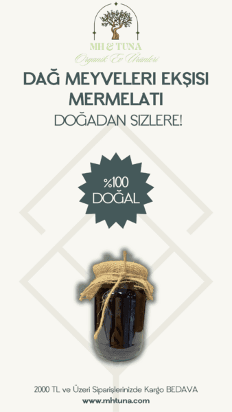 DAĞ MEYVELERİ EKŞİSİ MARMELATI